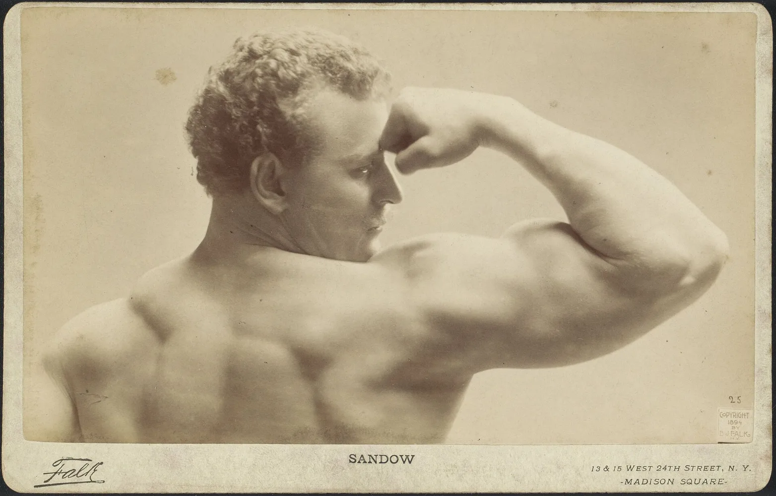 Top 5 Rare Gym Equipment Pieces Collectors Look For
