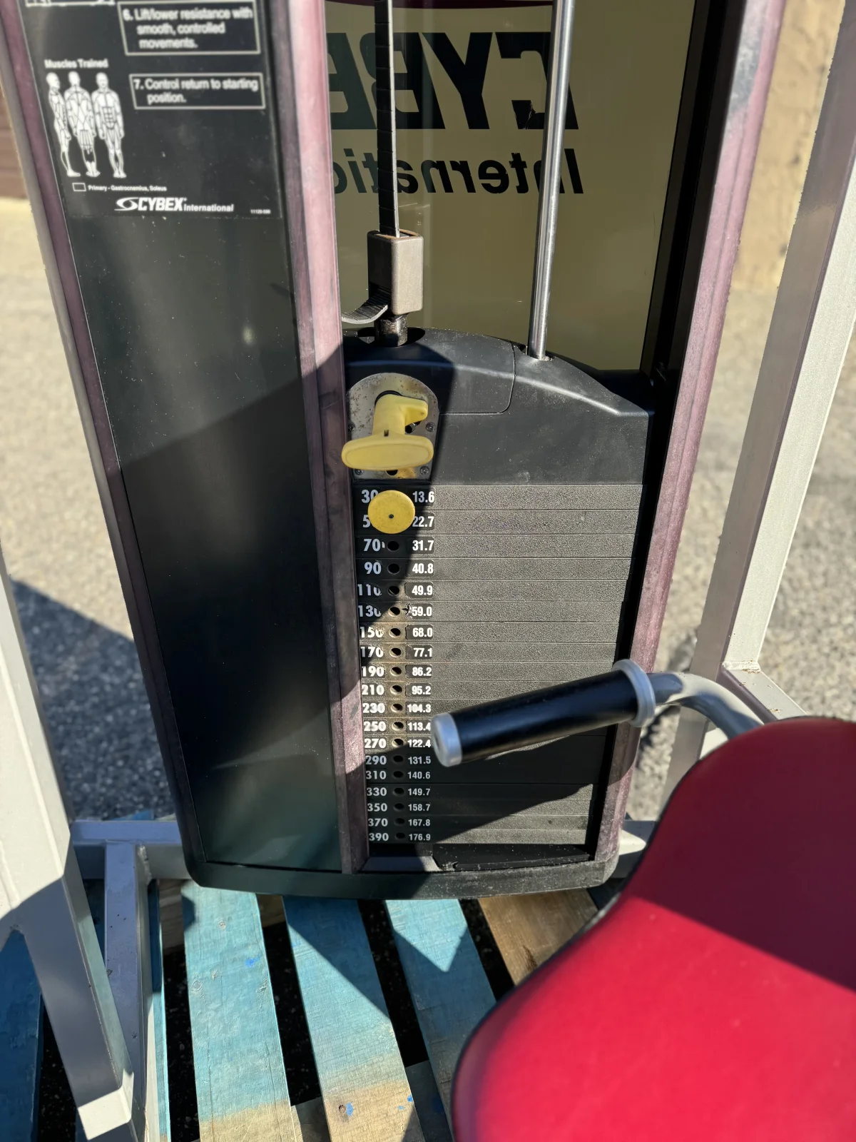 Cybex Eagle Horizonstal Calf Raise – photo 3