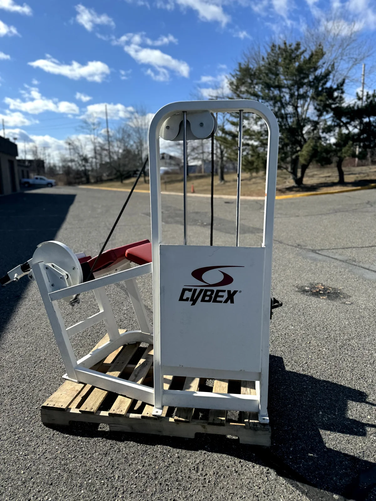 Cybex VR2 Prone Leg Curl Red Pads – photo 5